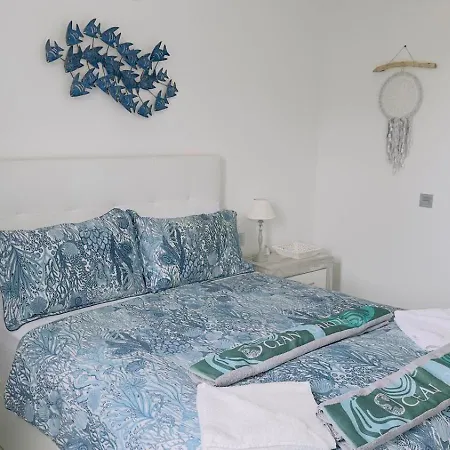 Ocean Garden Sunrise View